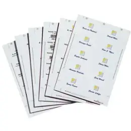 Einsteckschilder Durable 1428-02 142802 Badgemaker Recycled 54x90mm weiß A4 Bogen recycled, Pack 200 Stk