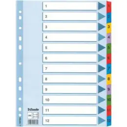 Zahlen-Register Esselte 100162 A4 1-12 A4 Mylarkarton mit farbigen verstärkten Taben