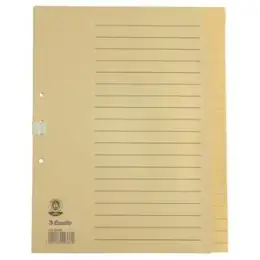 Blanko-Register Esselte 621006 blanko A4 20 Blatt chamois