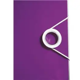 Ordner Leitz 1106-00-62 11060062 Wow A4, 80mm, gewölbt, Polyfoam, violett
