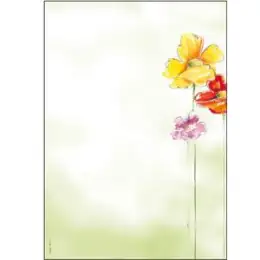 Motiv-Papier Sigel DP123 A4 Spring Flowers 90g, Pack 50 Blatt