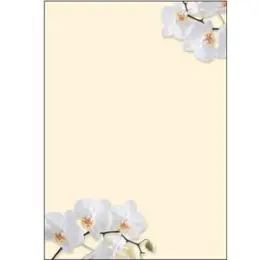 Motiv-Papier Sigel DP904 A4 White Orchid 90g, Pack 50 Blatt