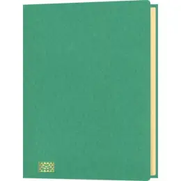 Ordnungsmappe RNK 4618-5 A4, 20-Fächer, Glanzkarton-Einband, Gummizug, grün